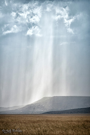 The rains down in Africa.