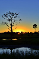 Landscapes