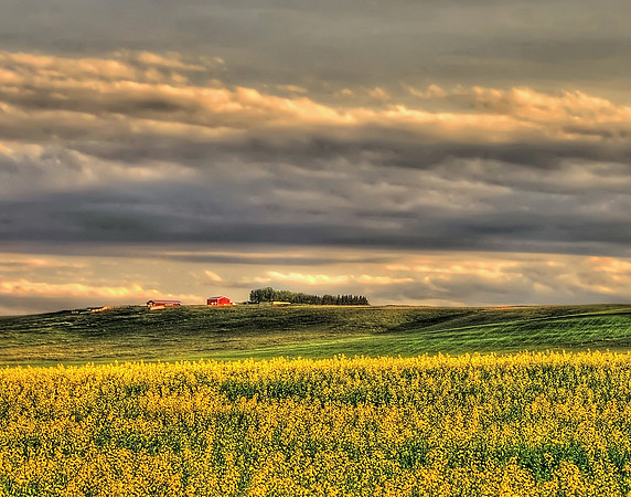 Storm clouds Alberta