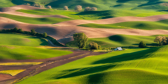 From Steptoe Butte - The Palouse, Washington