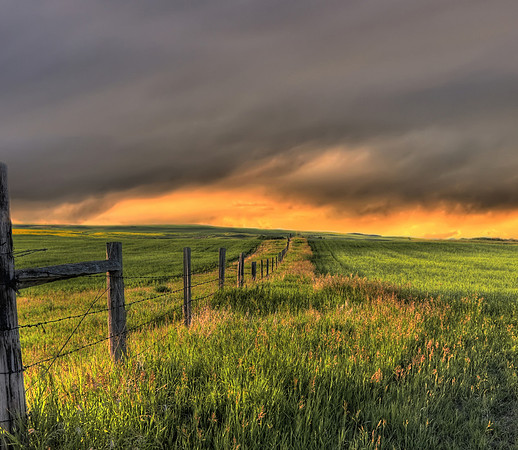 Summer Storm near Calgary, Alberta