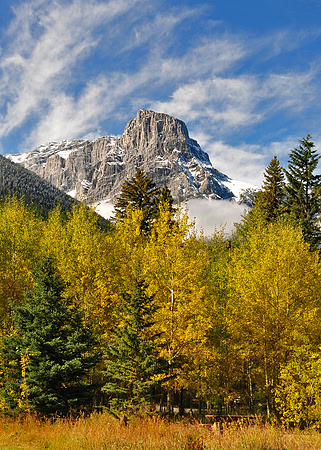 Fall colours Canmore, Alberta