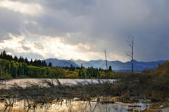 After the Storm, Alberta