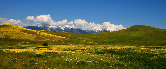 National Bison Range, Montana