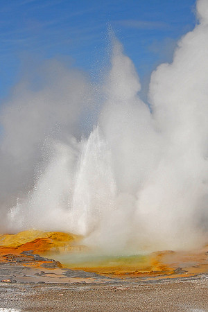 Geyser, Yellowstone National Park Winter 2010
