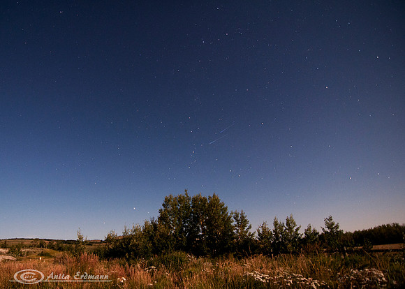 Perseid Meteor Shower.... two meteors at once!Shot at 11:41pm, 13 sec exposure at f2.8Meteors can are faint streaks above the bush.