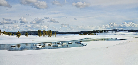 Hayden Valley, Yellowstone National Park, March 2010