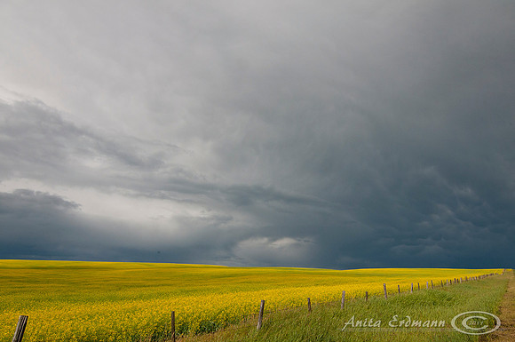 Storm Clouds near Drumheller Alberta