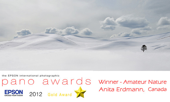 It is always humbling when you enter your images to be judged in a contest against the best photographers around the globe.  The Epson International Pano Awards showcases the work of panoramic photogr