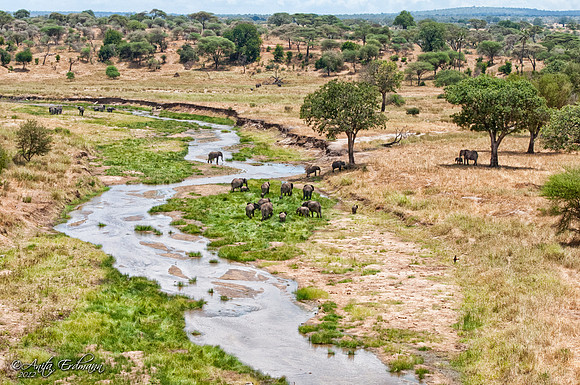 Tarangire National Park, Tanzania
