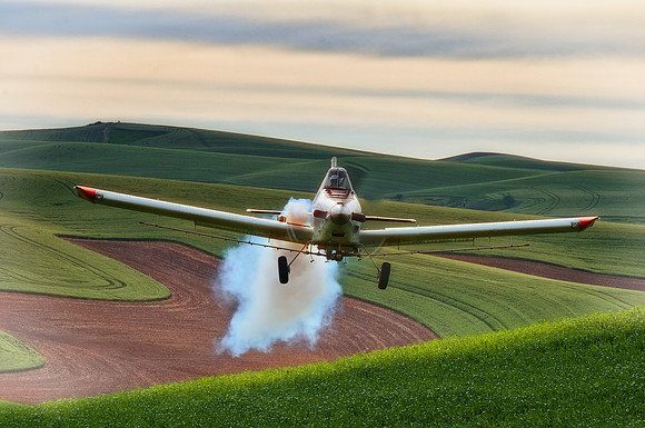 What we'll do to get the shot.... We were watching a crop duster soaring and diving over the hills in the Palouse. We moved down the road a bit so that we would get out of his way and he could continu