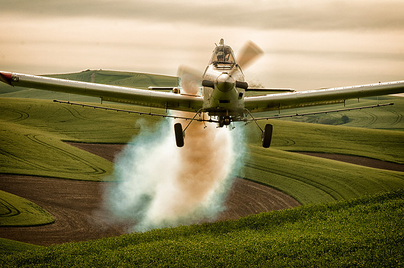 What we'll do to get the shot.... We were watching a crop duster soaring and diving over the hills in the Palouse. We moved down the road a bit so that we would get out of his way and he could continu