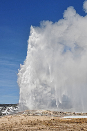 Old Faithful geyser in Yellowstone National Park