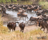 Tanzania 2012