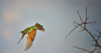 IMG_1577.JPG