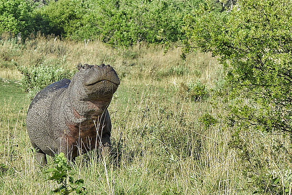 IMG_1740.JPG