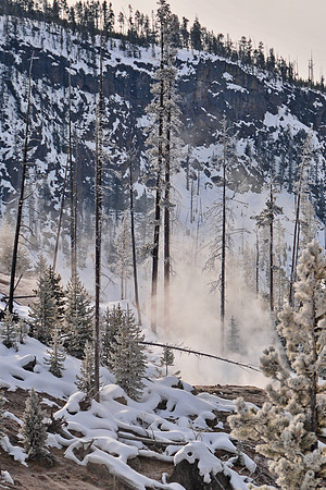 Steam rising from the thermal area in Yellowstone National Park