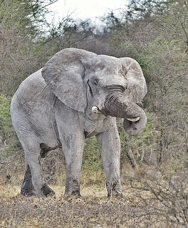 IMG_1586.JPG