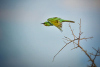 IMG_1576.JPG