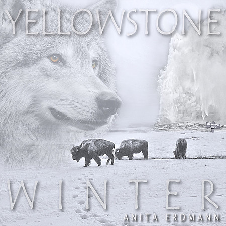 I recently finished a class on Photoshop... our assignment was to make a CD cover using our own photographs.  This is what I came up with.