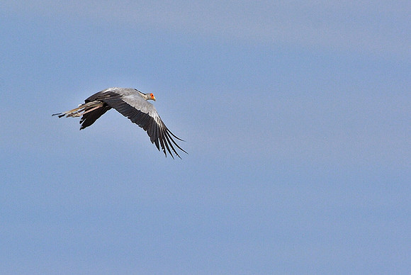 IMG_1607.JPG