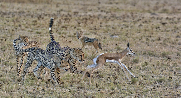 IMG_1768.JPG