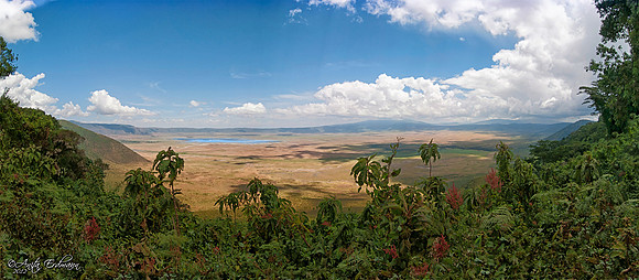 Ngorongoro Crater