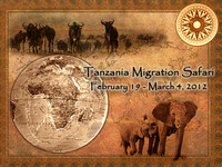 Tanzania Migration Safari -  More Photos Coming Soon!February 19 to March 4, 2012