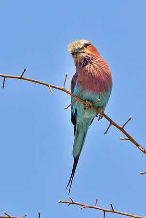 IMG_1609.JPG