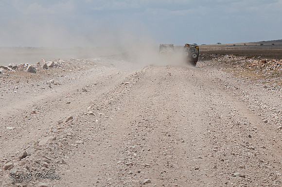 Serengeti Highway with all of its dust, potholes and deep ruts