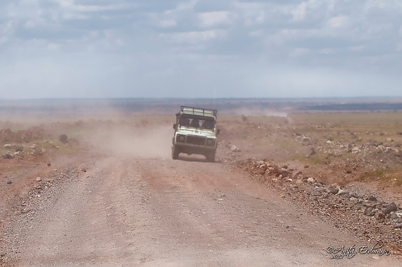Serengeti Highway